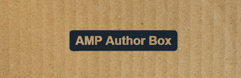 AMP Author Box plugin